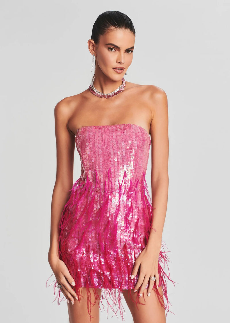 Retrofete Anastacia Sequin Feather Mini Dress – the style squad