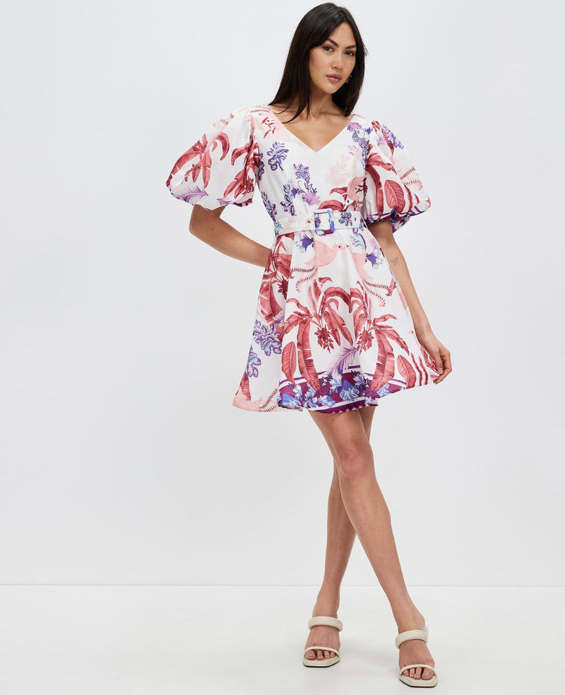 Honey and Beau obsessed Aline Dress