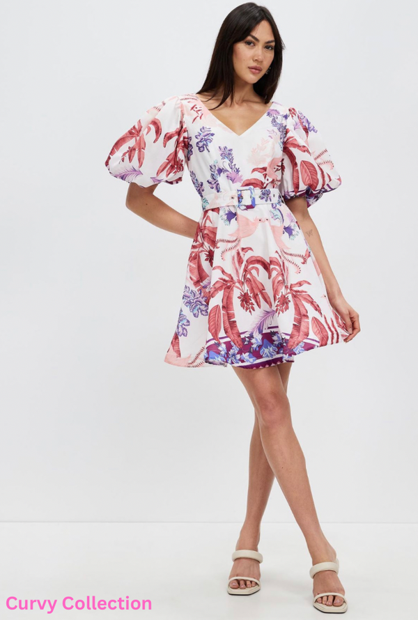 Honey and Beau obsessed Aline Dress