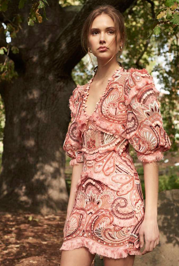 Thurley Paisley Passion Dress