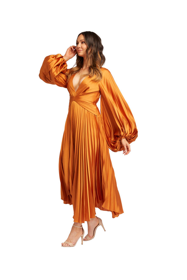 Acler Palms Dress | Tumeric